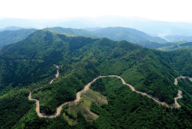 충주국유림관리소, 산림치유지도사 선발시 자격요건 완화