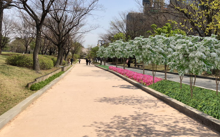 서울시-중국건설은행, 여의도공원 훼손된 녹지에 꽃과 나무 심는다