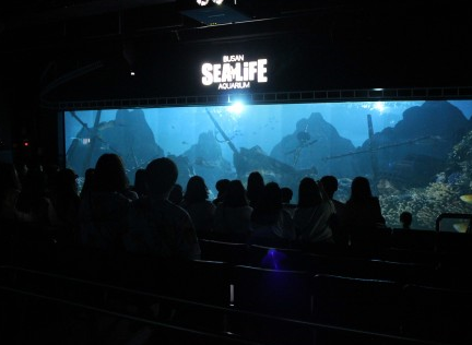 SEA LIFE 부산아쿠아리움, 바닷속 이색 영화관 ‘딥시네마월드’ 볼거리 더해