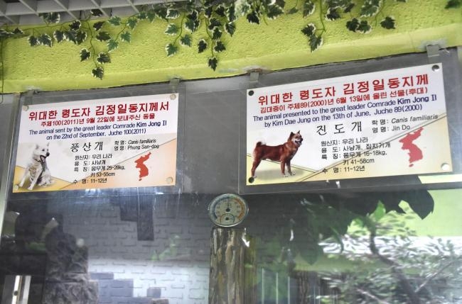 김대중 전 대통령이 북한에 선물한 진돗개 한쌍 죽은것으로 추정