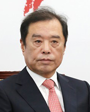 김병준, "손혜원, 배지 단 최순실"