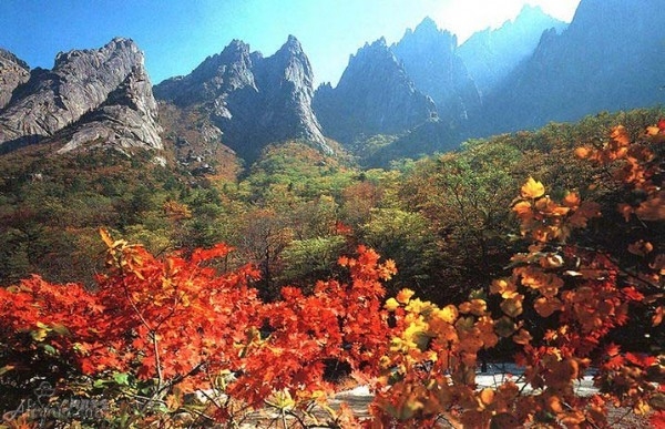 北 관광산업 활성화 상승, 원산-금강산 우선 개발될 전망 분석 나와