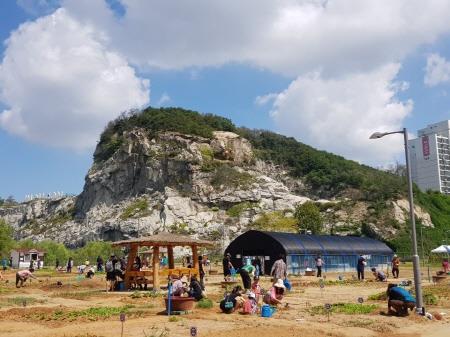 인천 연수구, 송도국제도시·송도석산 도시텃밭 참여자 모집