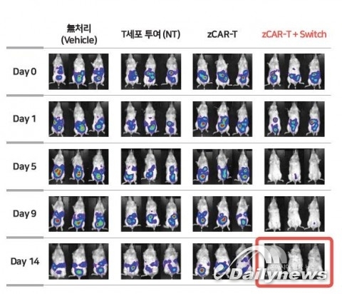 앱클론, 고형암 CAR-T 치료제 임상 물질 도출 성공