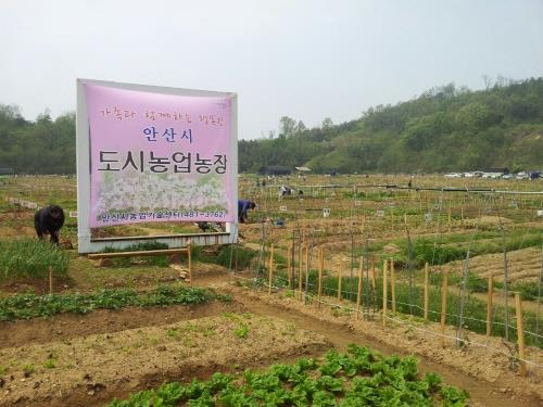 안산시, 주말농장 등기우편·이메일 접수로 변경