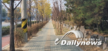 인천 동구, 도로변 숲길 조성 "구민의 건강은 우리가 지킨다"