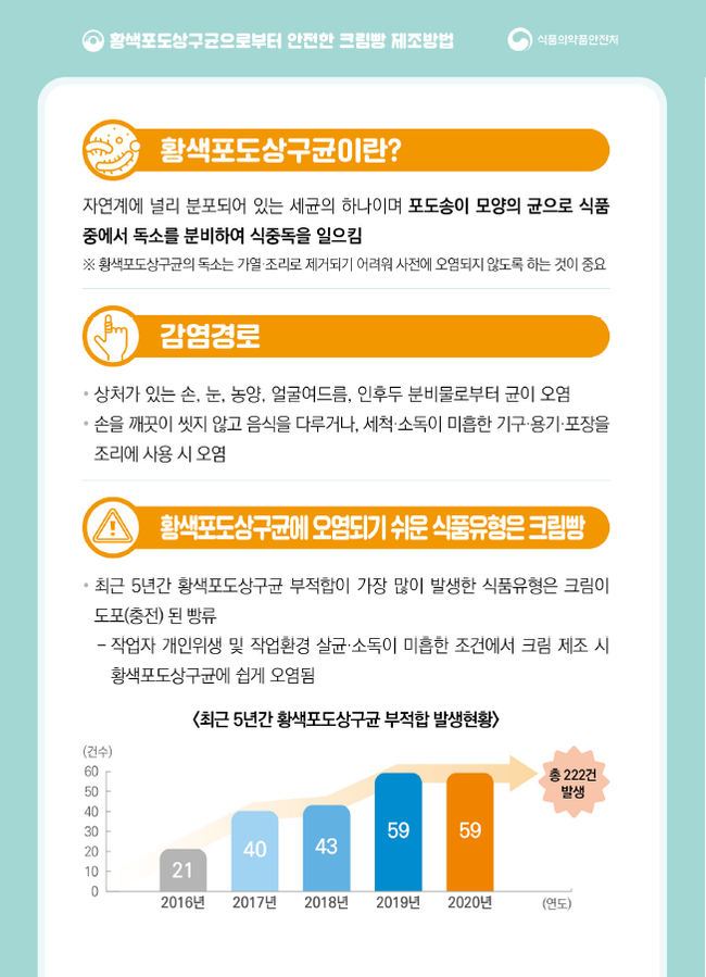 식약처, SNS 인기 주문제작 케이크 21건 식중독균 검출