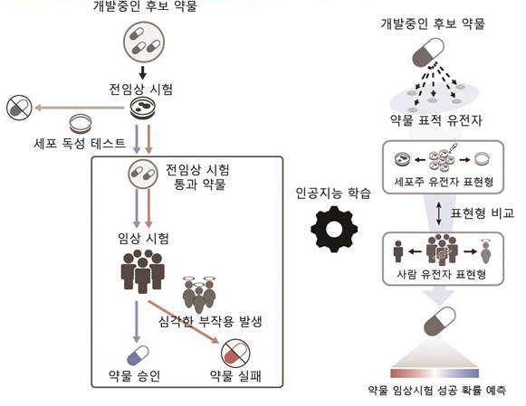 포스텍, 인공지능이 돕는 신약 임상시험으로 성공 확률 높여