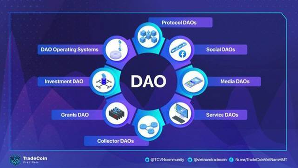 DAO, '참가자들 사이에서 익명성과 투명성을 기반으로 수평적인 관계를 형성'