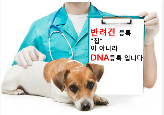 한국 반려동물 DNA 관리 시스템 혁신 위한 '(주)펫캣바이오'의 첨단 사업 추진