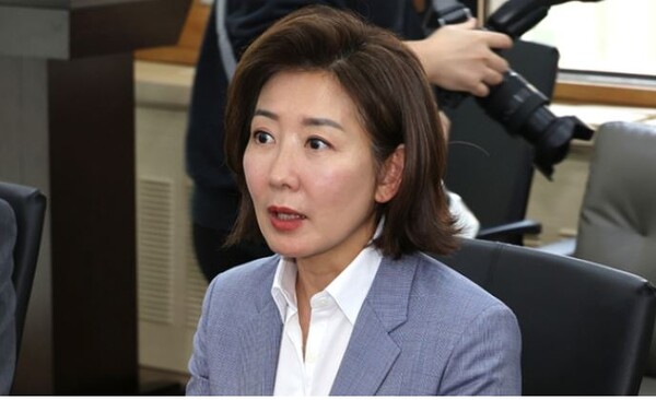 22대 국회 첫 발의 법안은 나경원의 '헝가리식 저출산해법'