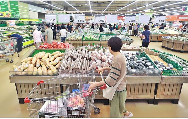 [집중분석]다시 고개쳐든 물가...중동불안·기상이변에 '예측불허'
