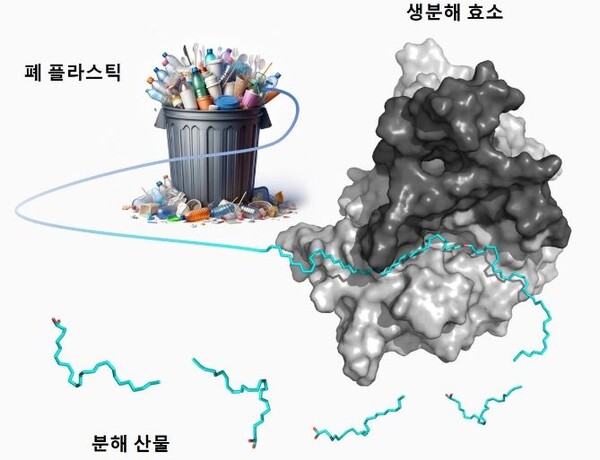 [사이언스임팩트(17)]폴리에틸렌 생분해 효소 개발...폐기물 처리 전환점
