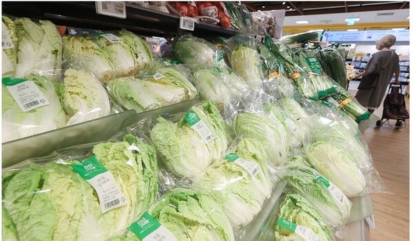 8월 생산자물가 0.1% 하락...원자재 가격 하락 영향