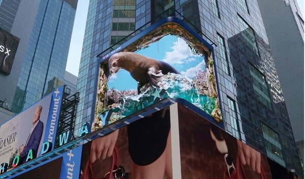 [한컷뉴스]LG 기후위기 모델, 이번엔 바다사자