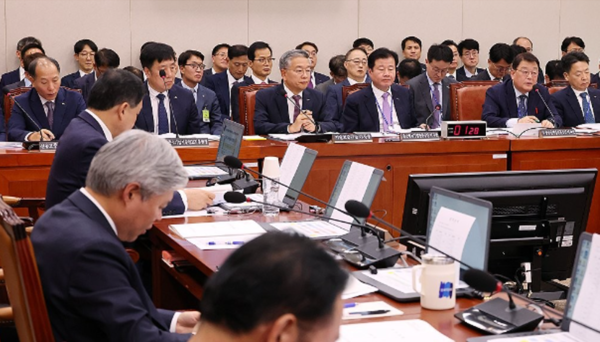 [산업위국감]여야 "티메프 피해 소상공인 지원 늘려라" 한목소리