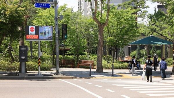 과천시, ‘스마트 보행자안전시스템’ 본격 가동…보행자 사고 예방 기대